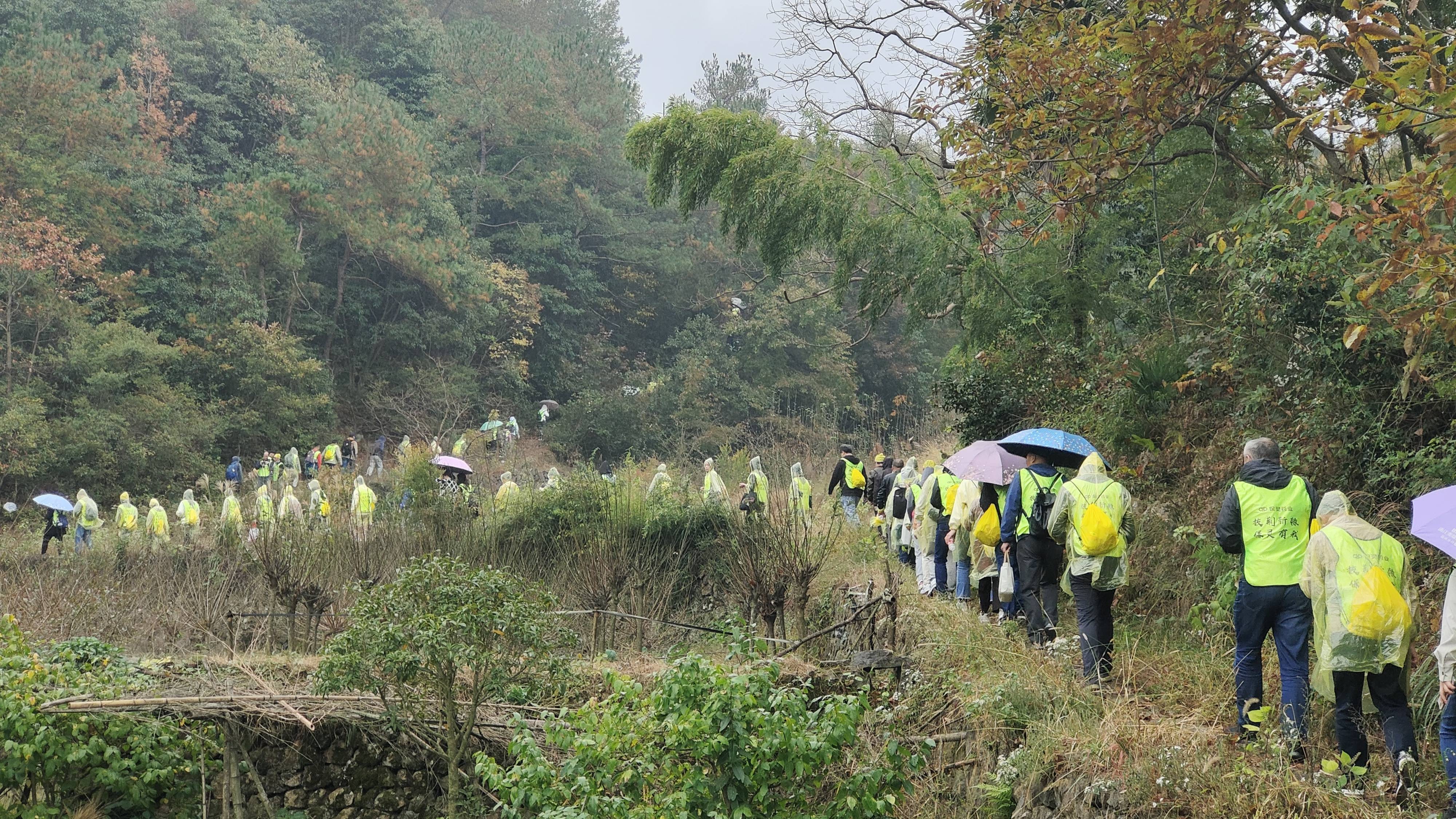 1668573607808778.jpg 816246d4ce6f1080bd3fea27db82e1b(1).jpg